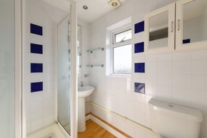 Shower Room- click for photo gallery
